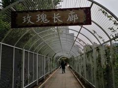 -太阳宫公园