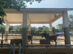 -石家庄市动物园