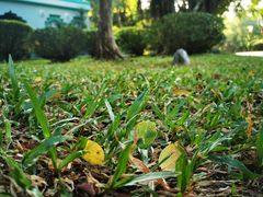 -深圳国际园林花卉博览园