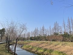 -前小桔亲子创意农场·草莓采摘·露营烧烤