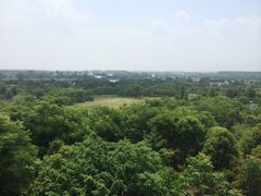 -梁鸿国家湿地公园