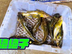 -姥家大锅台水库渔家