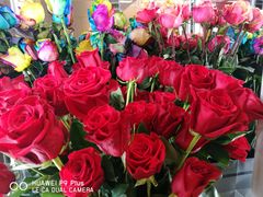-ROSEONLY诺誓(沈阳万象城店)