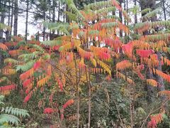 -白草畔自然风景区