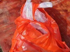 -广州市流溪河国家森林公园