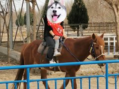 -兴芮温泉度假区