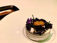 海胆-TRB Forbidden City(故宫店)