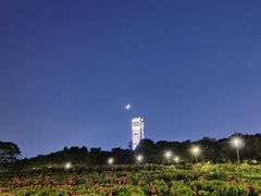 -深圳湾公园(南山区)