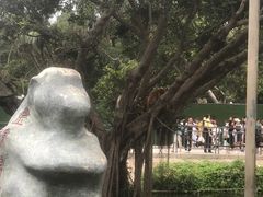 -深圳野生动物园