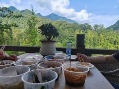 -龙翔山庄雷鸡肉(青城后山泰安古镇店)