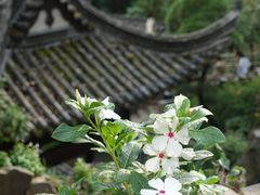-篁岭景区