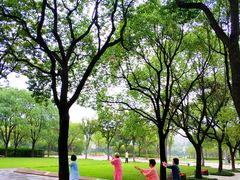 -新江湾城公园