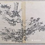 清华大学艺术博物馆 参观白雪石美术作品展 