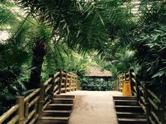 龙达温泉生态城-龙达温泉生态城