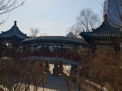 -迎泽公园