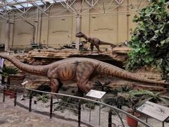 -国家自然博物馆