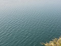 -长沙黑麋峰国家森林公园