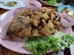 -陳妈妈泰国菜