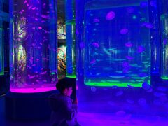 -海合安成都极地海洋公园