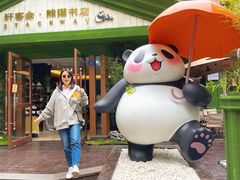 -轩客会(熊猫书店)