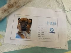 -仲盛世界商城