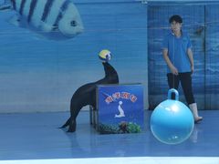 -西安秦岭野生动物园