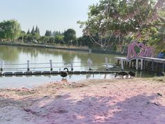 -上海杨姆庄园