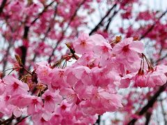 -梁鸿国家湿地公园