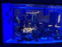 -上和臻品中国菜(花园街店)