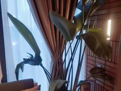 -泰合玺·精油疗愈SPA(狮山天街生活广场店)
