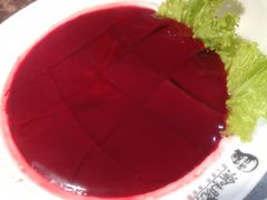 鲜鸭血-晓宇重庆火锅(赛格国际购物中心店)