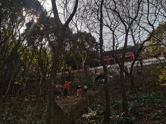 -惠山国家森林公园