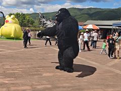 -世界恐龙谷景区