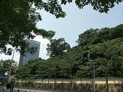 -濠轩阁特色生蚝火锅总店