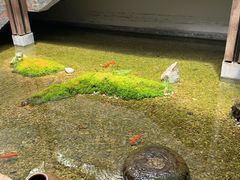-几荷·恰似故人来(秀水广场店)