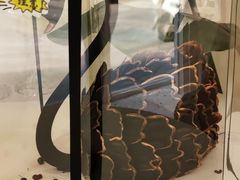 -玉见cake低糖蛋糕甜品台定制(河西店)