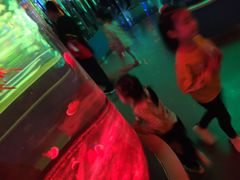 -石家庄海洋公园
