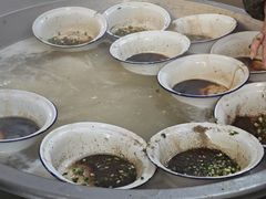 蛋别子（水蒲蛋）-陈小五小吃部