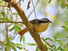 -白鹭湾湿地公园