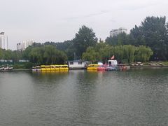 -莱西月湖公园