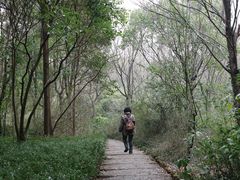 -新江湾城公园