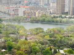 -君悦酒店·乐厨·高空自助餐(青年大街店)