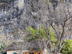-村上春树