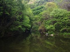 -少华山国家森林公园