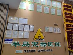 -半岛宠物医院24小时·内窥镜·牙科·碎石中心(府城大道店)