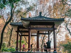 -广州市石门国家森林公园