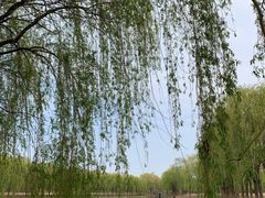 -东坝千亩湖公园