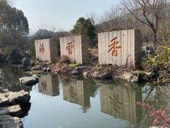 -香雪海