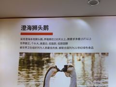 -陆记鹅庄·潮汕菜·狮头鹅(大仟里店)