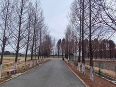 -嘉北郊野公园